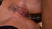 Valentina Ricci, Nikki Fox, Kinuski, Anissa Kate